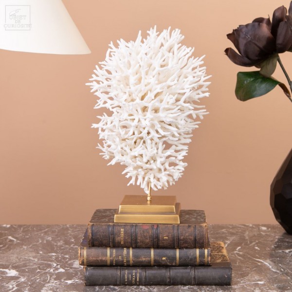 White coral SERIATOPORA HYSTRIX