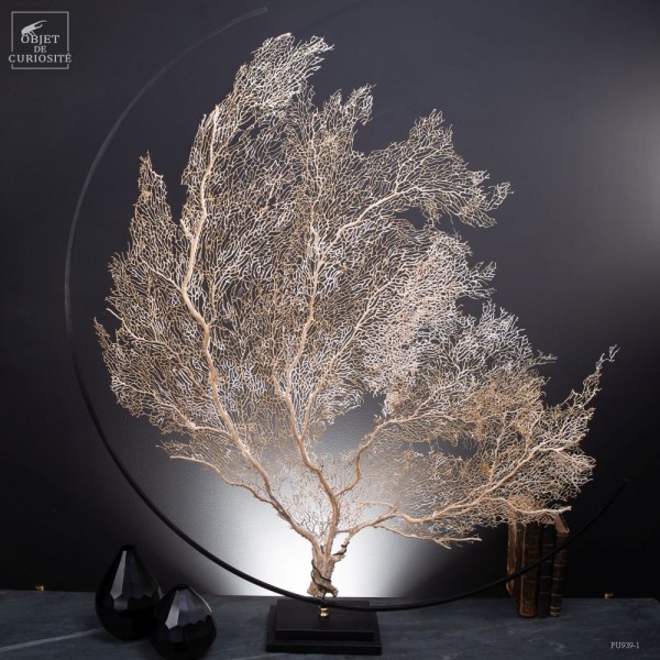 Gorgone beige dans cercle de métal