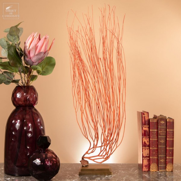 Red sea Whip on brass stand