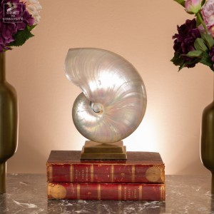 Nautile NACRE XL sur base...