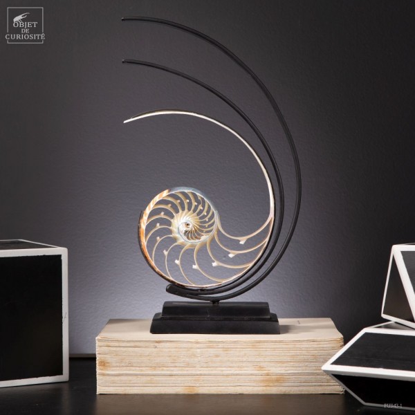 Slice of nautilus on black stand