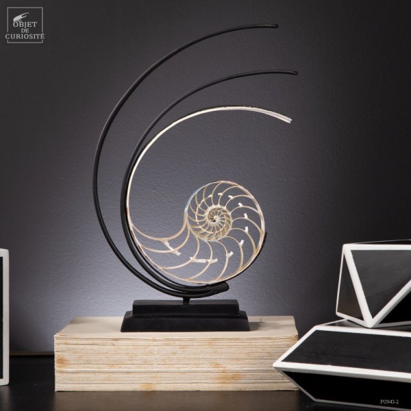 Slice of nautilus on black stand