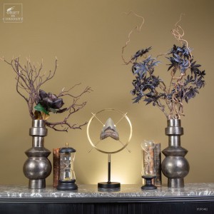 Megalodon tooth in a circle 2