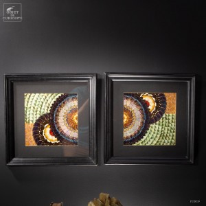 Paire de tableaux en ailes...