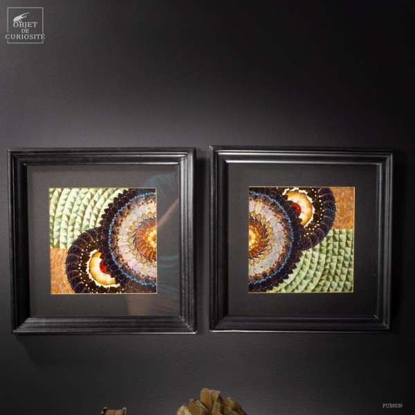 Paire de tableaux en ailes de papillons