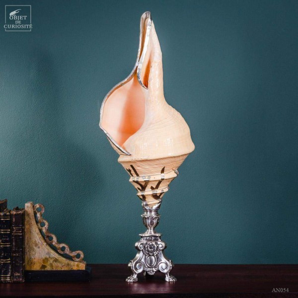 Syrinx habillé d'argent sur pied