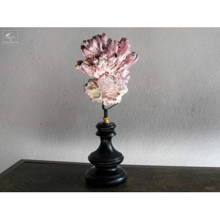 Balane s/socle en bois