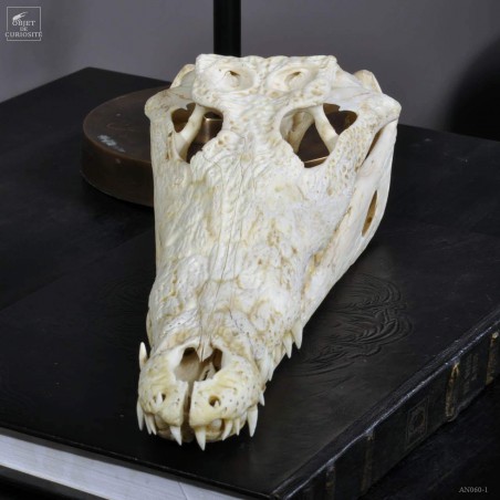 Crane de crocodile du Nil  37-39cm