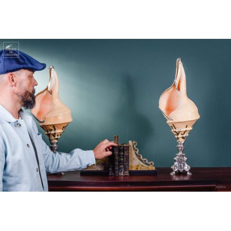 Syrinx habillé d'argent sur pied