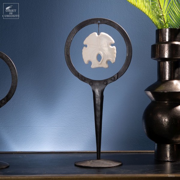 Medium sand dollar in metal circle