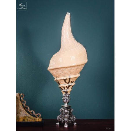 Syrinx habillé d'argent sur pied