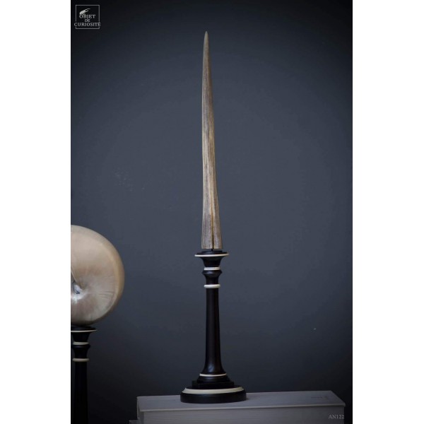 Marlin nose on wood stand