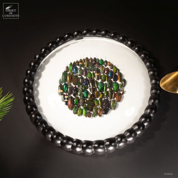 Circle of beetles, in a beaded wooden...