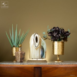 Zebra Jasperwith... 2