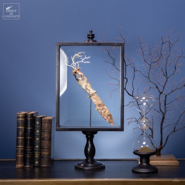 Déchet de la mer: couteau de plongeur...