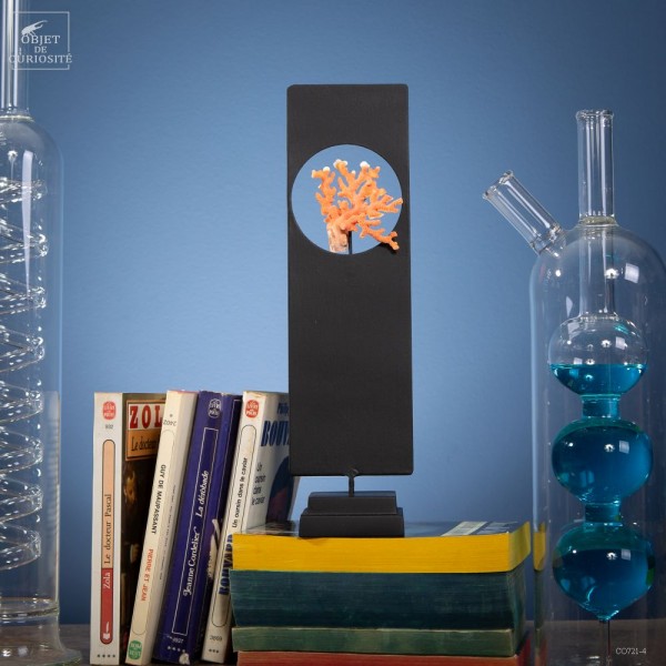 Natural orange coral of Madagascar...