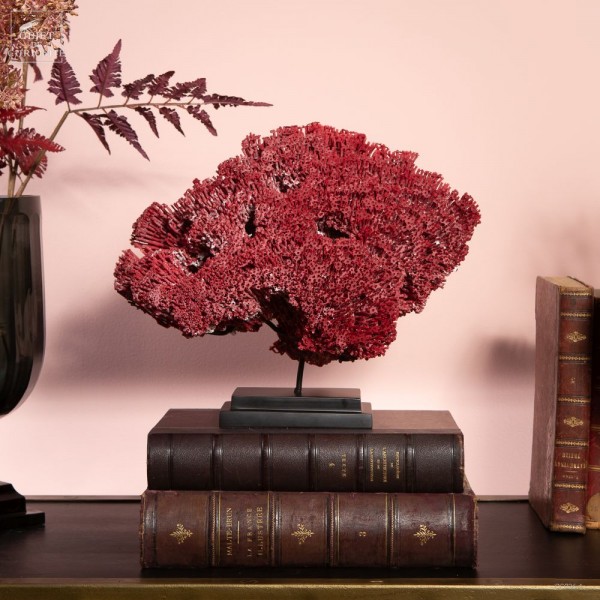 Red TUBIPORA MUSICA coral