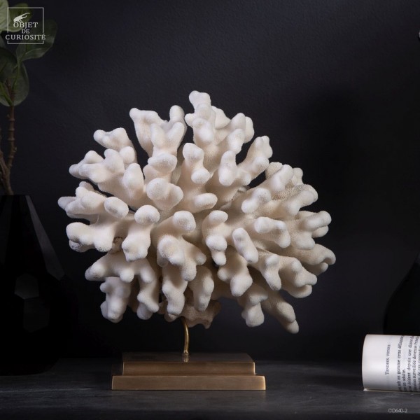 Corail STYLOPHORA P. sur laiton