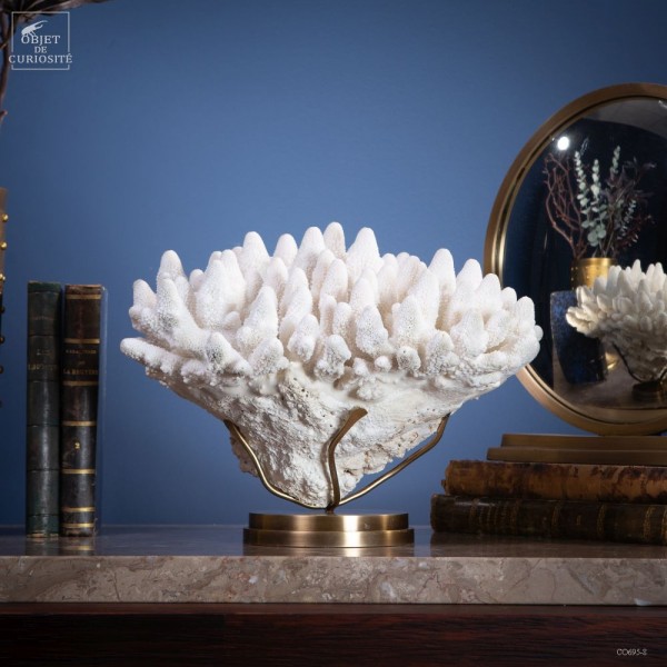 Corail blanc Finger ACROPORA HUMILIS,...