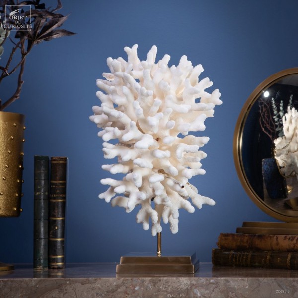 White coral - STYLOPHORA PISTILLATA