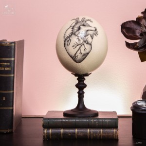 Heart, ink drawing on...