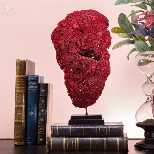 Red TUBIPORA MUSICA coral