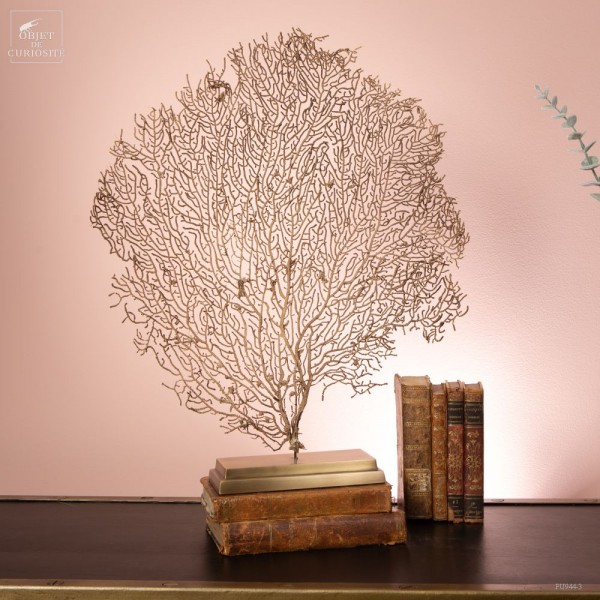Madagascar brown sea fan on brass base