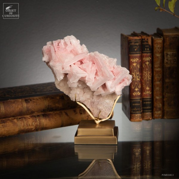 Halite rose (435g) Mojave desert...