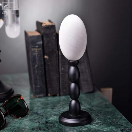 Egg of crocodile on black base