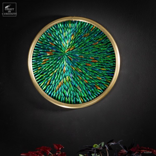 Tableau d'Elytres de Sternocera,...