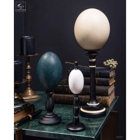 Egg of ostrich on black and ivory base