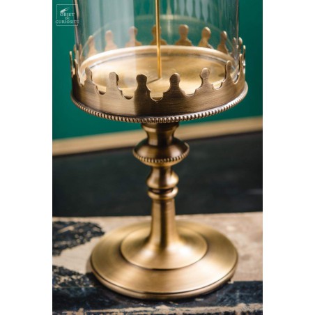Sculptured egg of goose under glass, brass base