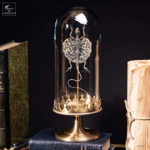 Lézard volant sous mini globe, base en laiton