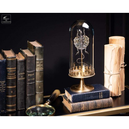 Flying lizard under glass with brass base