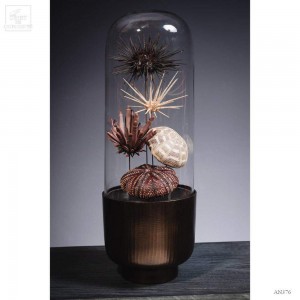 Urchins in family in capsule glass