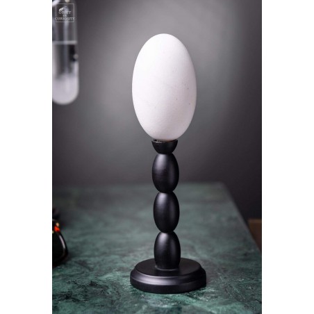 Egg of crocodile on black base