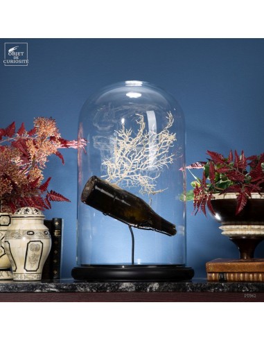 Junk of the sea under glass : Italian...