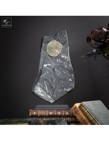 Pyrith dollars Pyrith dollars