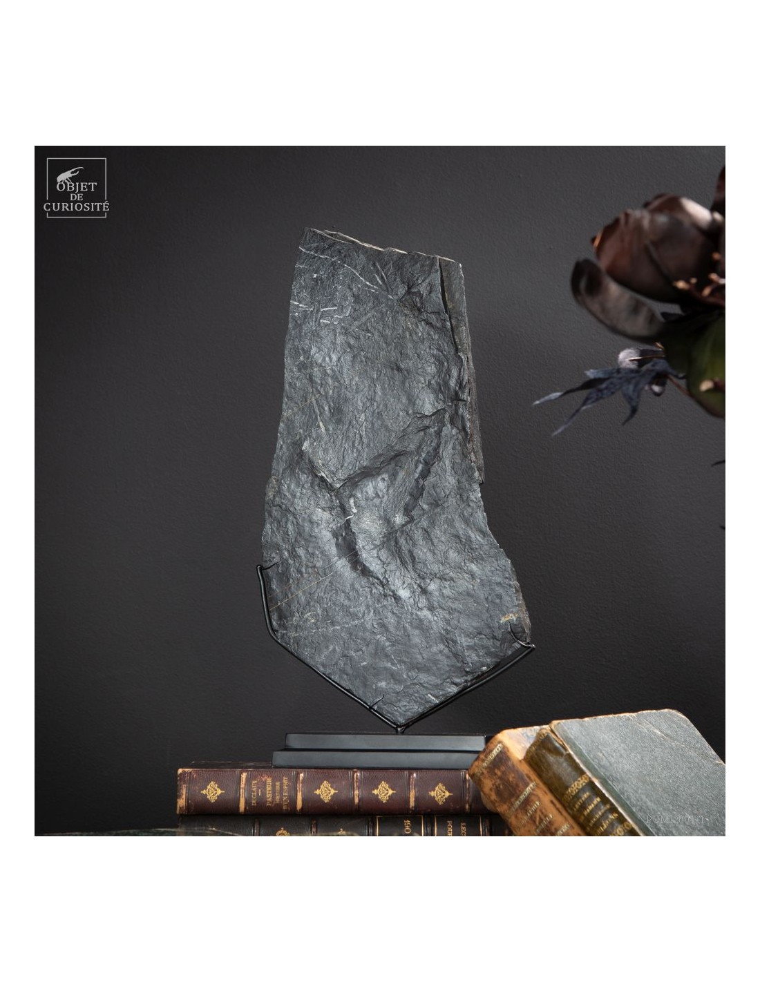 Pyrith dollars Pyrith dollars