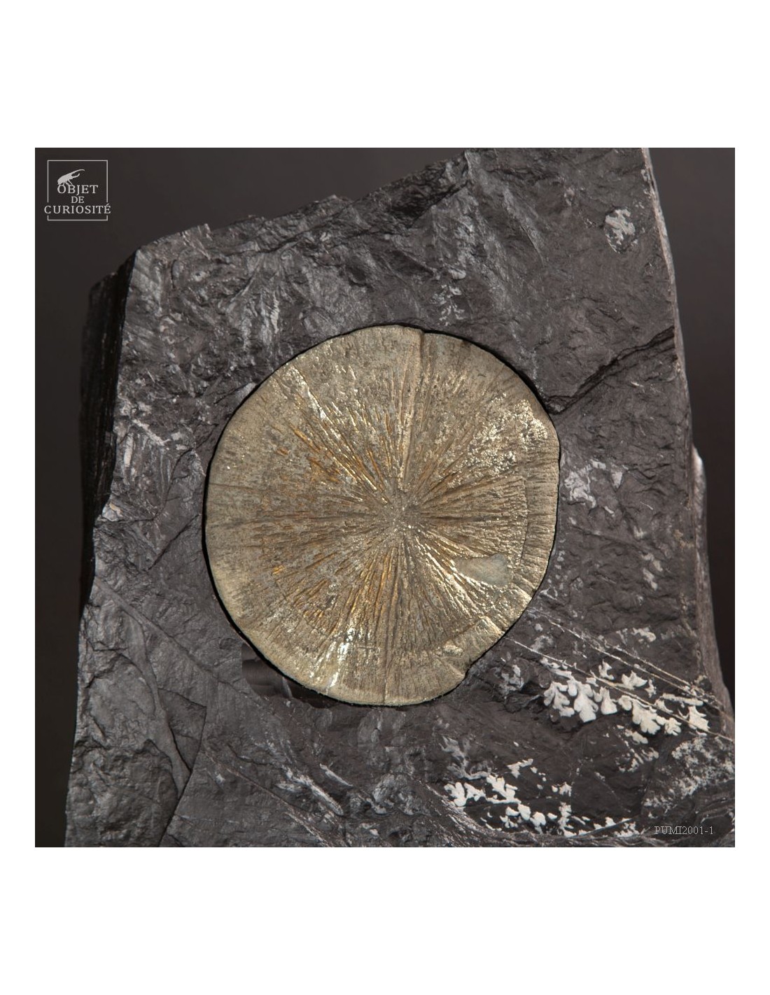 Pyrith dollars Pyrith dollars