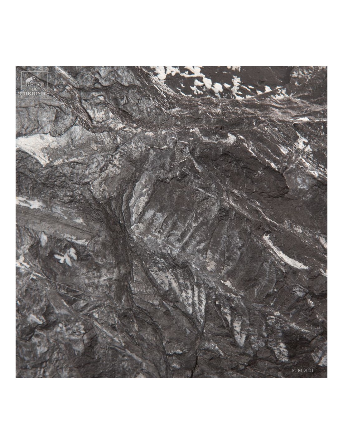 Pyrith dollars Pyrith dollars