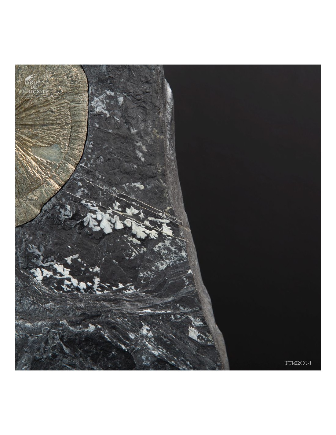 Pyrith dollars Pyrith dollars