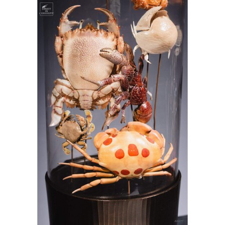 Family of 7 crabs in capsule glass