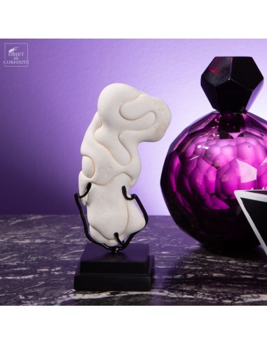 Fairy stone from Morocco on black base