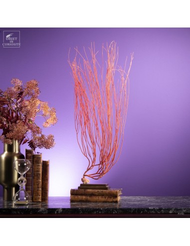 Red sea Whip on brass stand