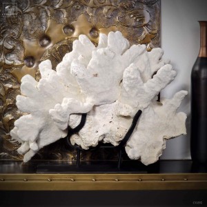 Corail patte de chat ACROPORA PALIFERA