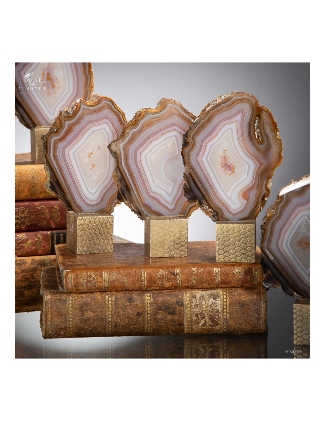 Série de 9 tranches d'agate support... Série de 9 tranches d'agate support...