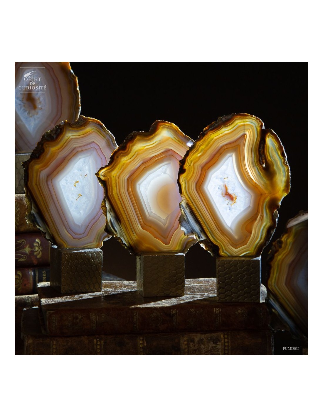 Série de 9 tranches d'agate support... Série de 9 tranches d'agate support...