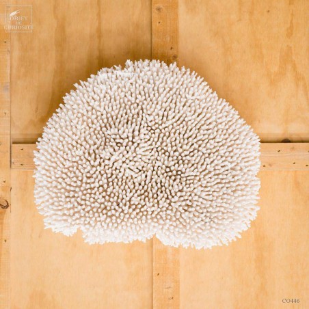 Couronne LATISTELLA diam 80cm support mural