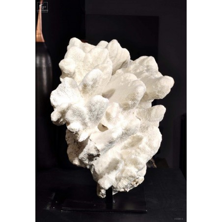 White coral extra large
